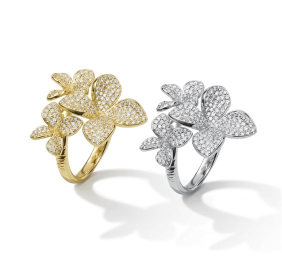 Anillo Misis Mujer FLORA in Plata Zircone AN03506 - AN03506
